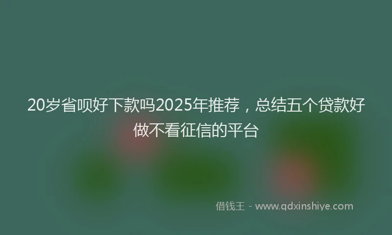 20岁省呗好下款吗2025年推荐，总结五个贷款好做不看征信的平台