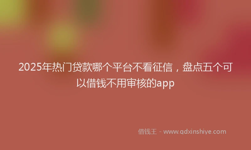 2025年热门贷款哪个平台不看征信，盘点五个可以借钱不用审核的app