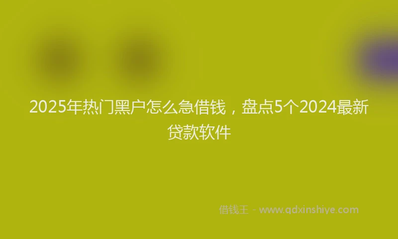 2025年热门黑户怎么急借钱，盘点5个2024最新贷款软件