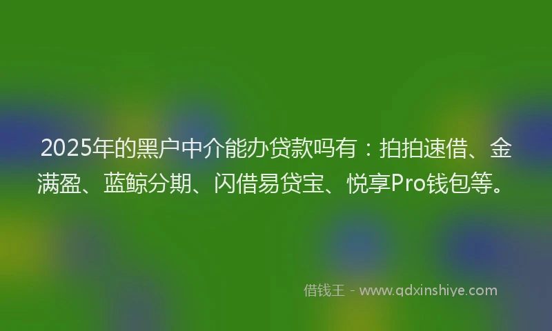 2025年的黑户中介能办贷款吗有：拍拍速借、金满盈、蓝鲸分期、闪借易贷宝、悦享Pro钱包等。