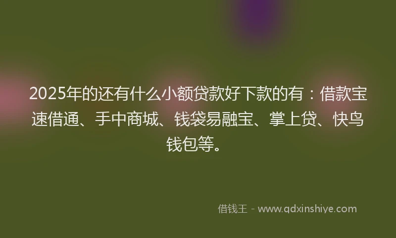 2025年的还有什么小额贷款好下款的有：借款宝速借通、手中商城、钱袋易融宝、掌上贷、快鸟钱包等。
