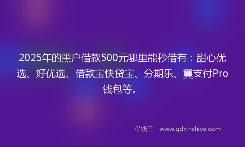2025年的黑户借款500元哪里能秒借有：甜心优选、好优选、借款宝快贷宝、分期乐、翼支付Pro钱包等。