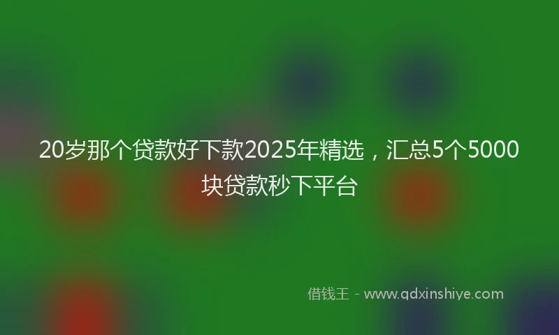 20岁那个贷款好下款2025年精选，汇总5个5000块贷款秒下平台