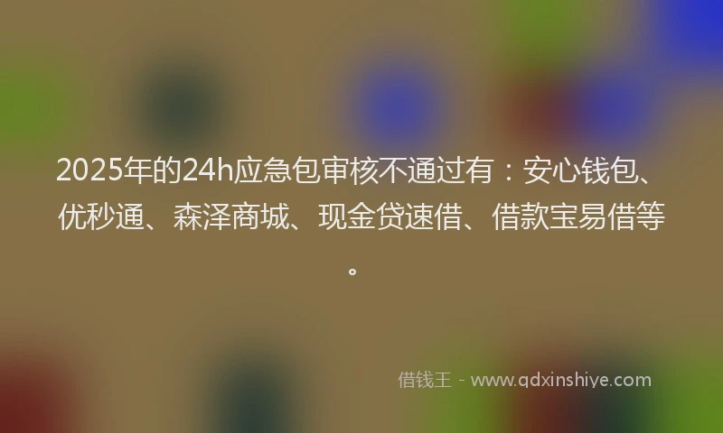 2025年的24h应急包审核不通过有：安心钱包、优秒通、森泽商城、现金贷速借、借款宝易借等。