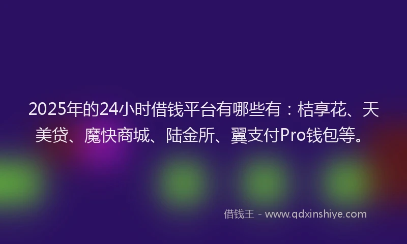 2025年的24小时借钱平台有哪些有：桔享花、天美贷、魔快商城、陆金所、翼支付Pro钱包等。