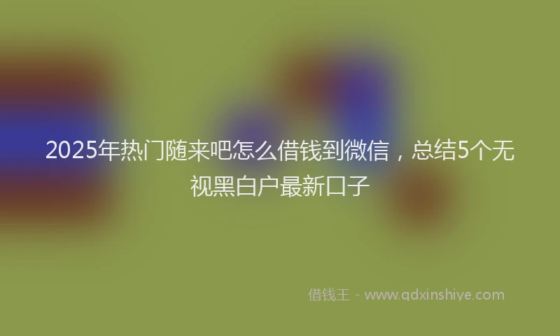 2025年热门随来吧怎么借钱到微信，总结5个无视黑白户最新口子