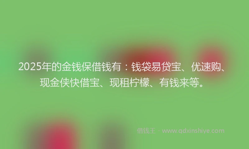 2025年的金钱保借钱有：钱袋易贷宝、优速购、现金侠快借宝、现租柠檬、有钱来等。