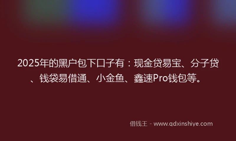 2025年的黑户包下口子有：现金贷易宝、分子贷、钱袋易借通、小金鱼、鑫速Pro钱包等。