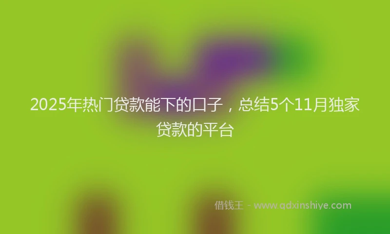 2025年热门贷款能下的口子，总结5个11月独家贷款的平台