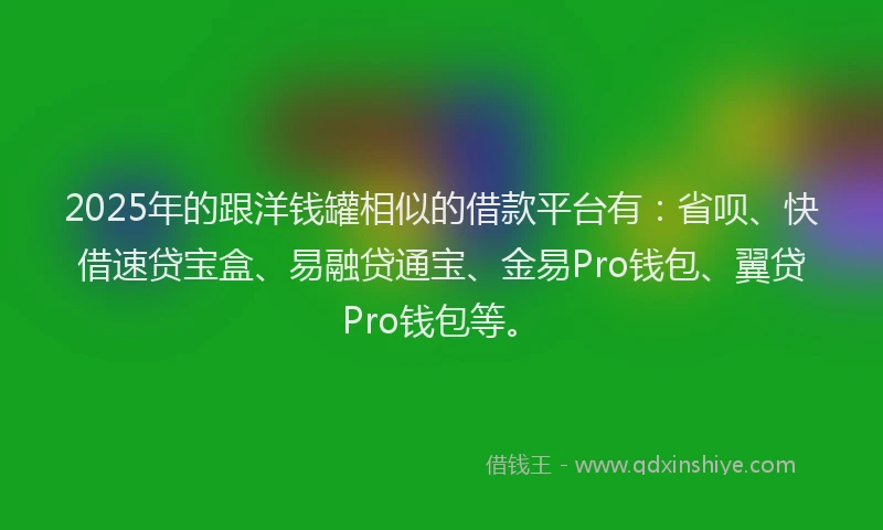 2025年的跟洋钱罐相似的借款平台有：省呗、快借速贷宝盒、易融贷通宝、金易Pro钱包、翼贷Pro钱包等。