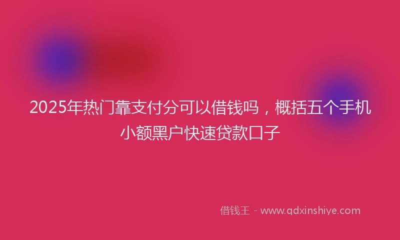 2025年热门靠支付分可以借钱吗，概括五个手机小额黑户快速贷款口子