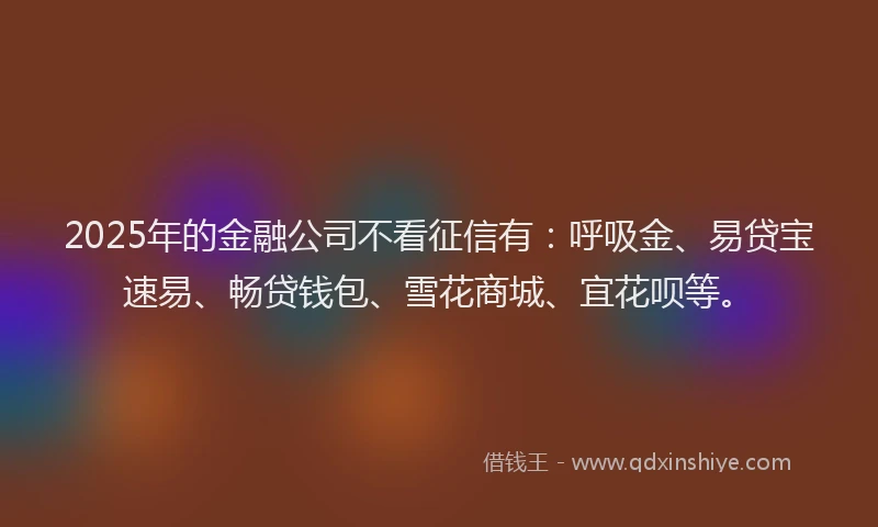 2025年的金融公司不看征信有：呼吸金、易贷宝速易、畅贷钱包、雪花商城、宜花呗等。