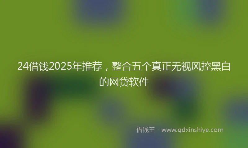 24借钱2025年推荐，整合五个真正无视风控黑白的网贷软件