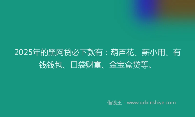 2025年的黑网贷必下款有：葫芦花、薪小用、有钱钱包、口袋财富、金宝盒贷等。