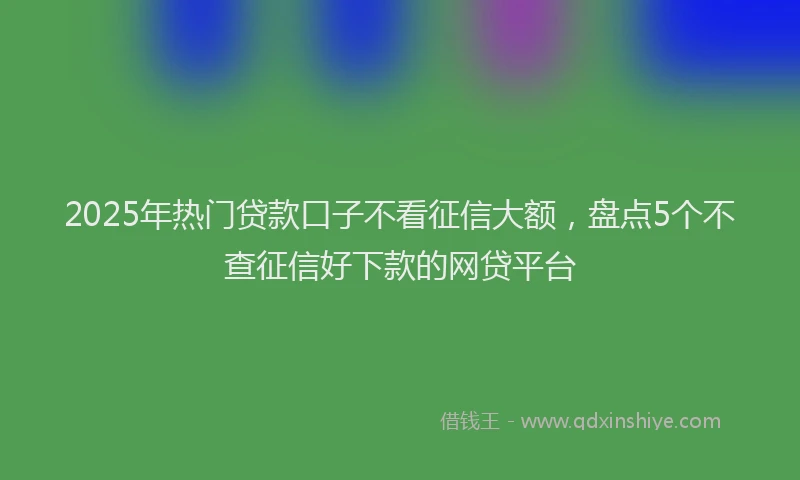 2025年热门贷款口子不看征信大额，盘点5个不查征信好下款的网贷平台
