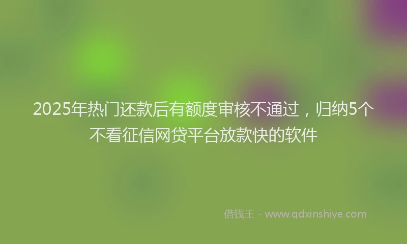 2025年热门还款后有额度审核不通过，归纳5个不看征信网贷平台放款快的软件