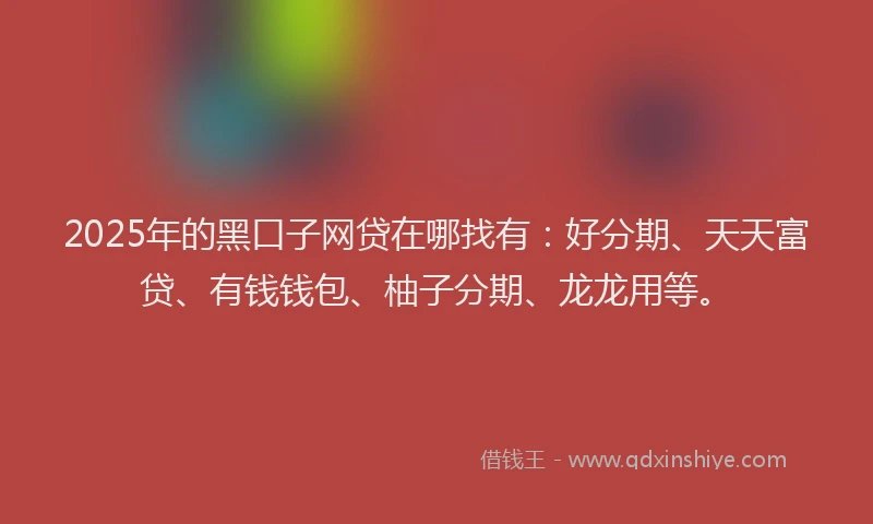2025年的黑口子网贷在哪找有：好分期、天天富贷、有钱钱包、柚子分期、龙龙用等。