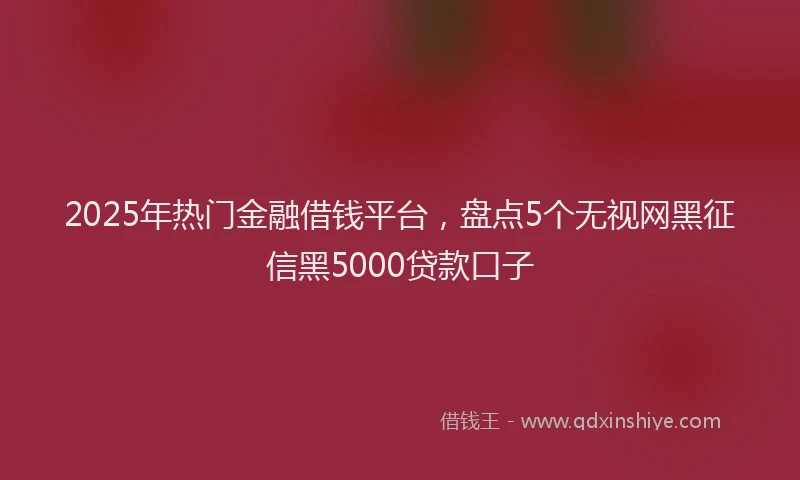 2025年热门金融借钱平台，盘点5个无视网黑征信黑5000贷款口子