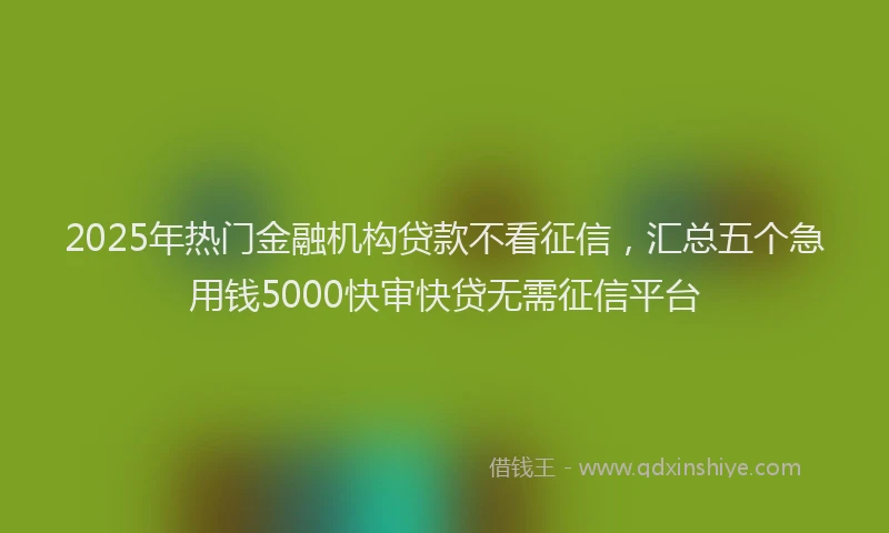 2025年热门金融机构贷款不看征信，汇总五个急用钱5000快审快贷无需征信平台