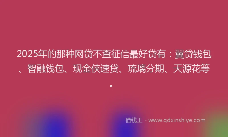 2025年的那种网贷不查征信最好贷有：翼贷钱包、智融钱包、现金侠速贷、琉璃分期、天源花等。