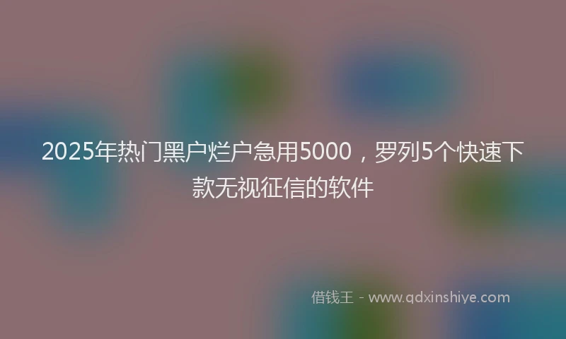 2025年热门黑户烂户急用5000，罗列5个快速下款无视征信的软件