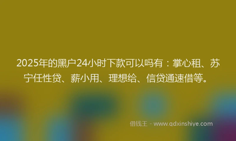 2025年的黑户24小时下款可以吗有：掌心租、苏宁任性贷、薪小用、理想给、信贷通速借等。