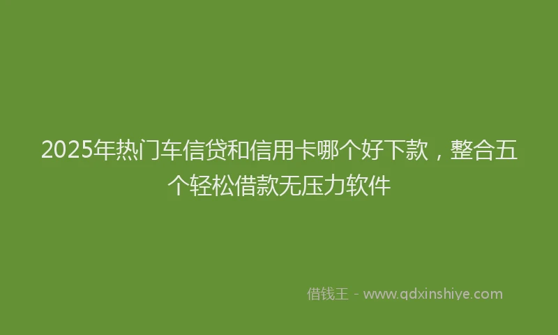 2025年热门车信贷和信用卡哪个好下款，整合五个轻松借款无压力软件