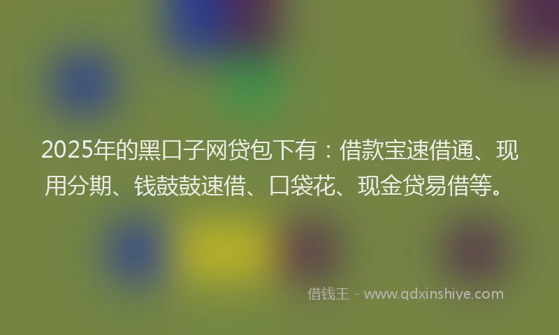2025年的黑口子网贷包下有：借款宝速借通、现用分期、钱鼓鼓速借、口袋花、现金贷易借等。