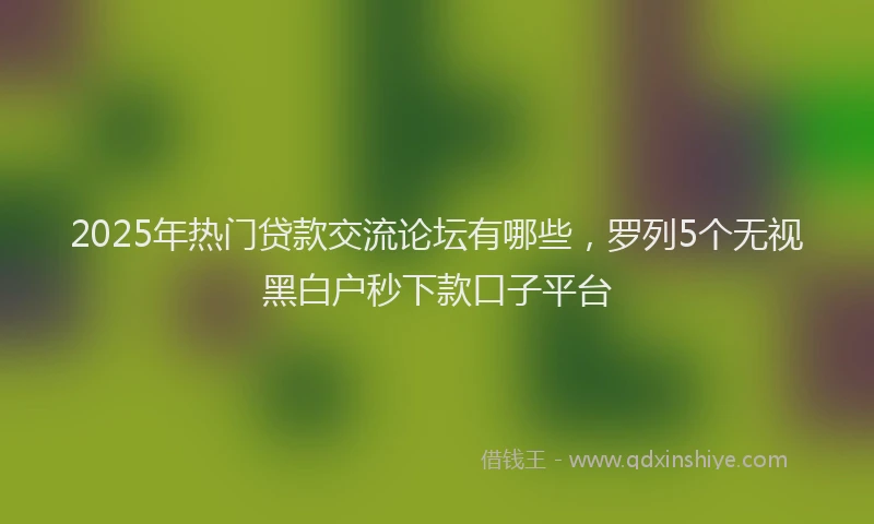 2025年热门贷款交流论坛有哪些，罗列5个无视黑白户秒下款口子平台