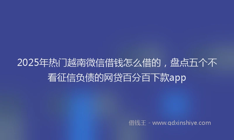 2025年热门越南微信借钱怎么借的，盘点五个不看征信负债的网贷百分百下款app