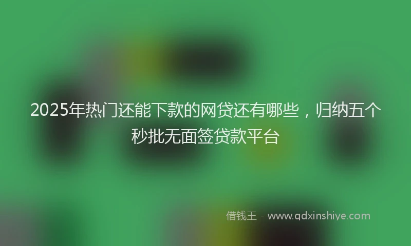 2025年热门还能下款的网贷还有哪些，归纳五个秒批无面签贷款平台