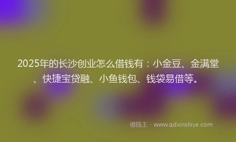2025年的长沙创业怎么借钱有：小金豆、金满堂、快捷宝贷融、小鱼钱包、钱袋易借等。
