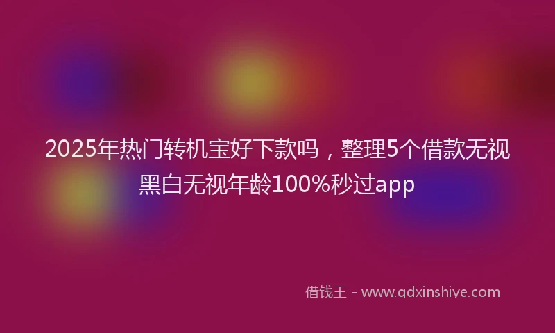 2025年热门转机宝好下款吗，整理5个借款无视黑白无视年龄100%秒过app