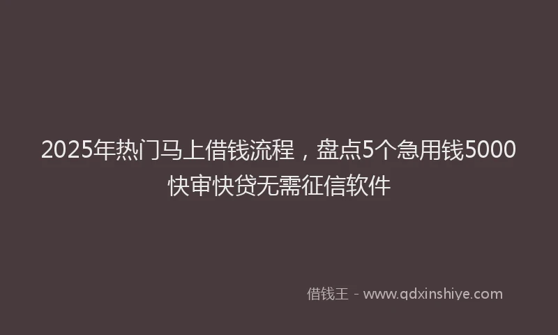 2025年热门马上借钱流程，盘点5个急用钱5000快审快贷无需征信软件