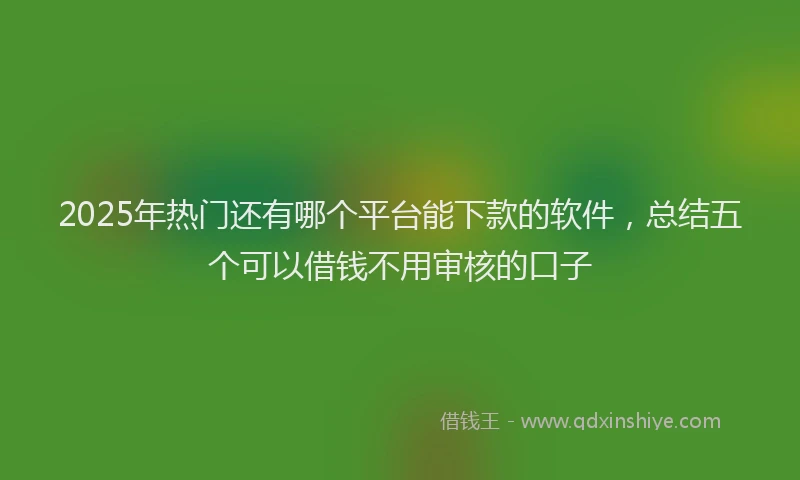 2025年热门还有哪个平台能下款的软件，总结五个可以借钱不用审核的口子