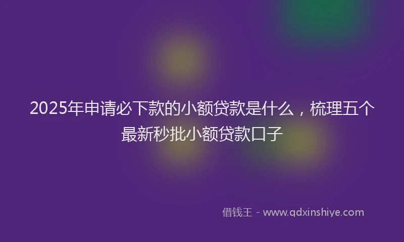 2025年申请必下款的小额贷款是什么，梳理五个最新秒批小额贷款口子