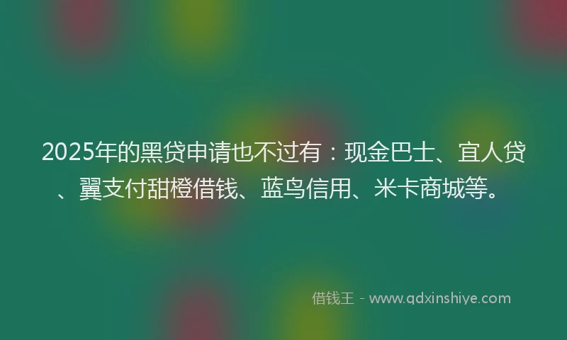2025年的黑贷申请也不过有：现金巴士、宜人贷、翼支付甜橙借钱、蓝鸟信用、米卡商城等。