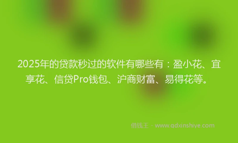 2025年的贷款秒过的软件有哪些有：盈小花、宜享花、信贷Pro钱包、沪商财富、易得花等。