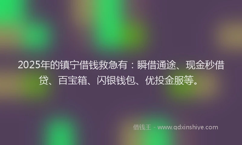 2025年的镇宁借钱救急有：瞬借通途、现金秒借贷、百宝箱、闪银钱包、优投金服等。