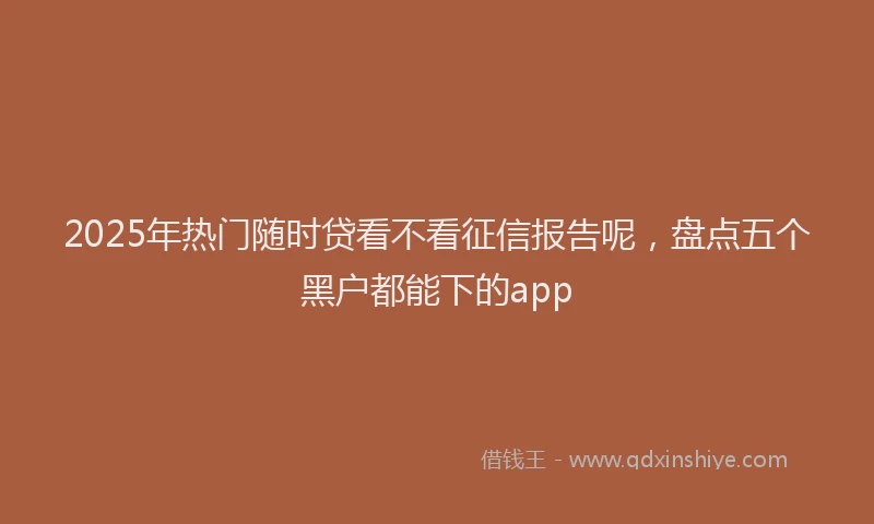 2025年热门随时贷看不看征信报告呢，盘点五个黑户都能下的app