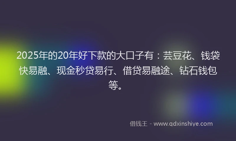 2025年的20年好下款的大口子有：芸豆花、钱袋快易融、现金秒贷易行、借贷易融途、钻石钱包等。