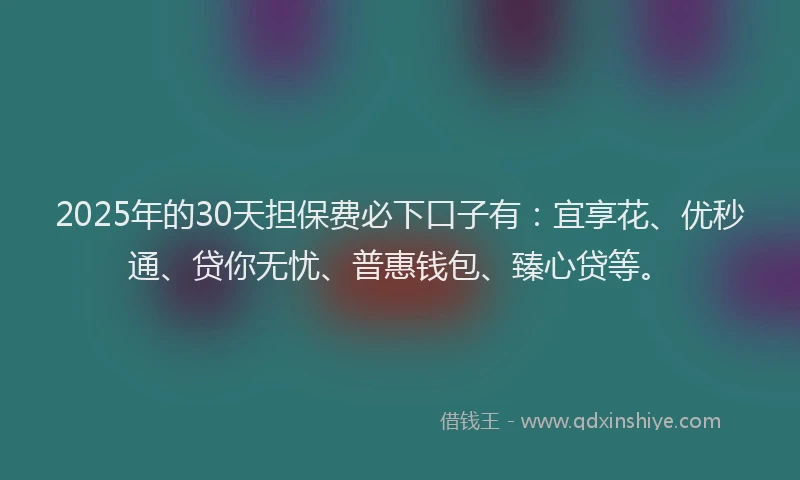 2025年的30天担保费必下口子有：宜享花、优秒通、贷你无忧、普惠钱包、臻心贷等。