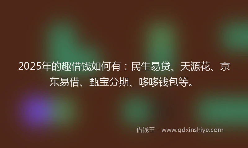2025年的趣借钱如何有：民生易贷、天源花、京东易借、甄宝分期、哆哆钱包等。