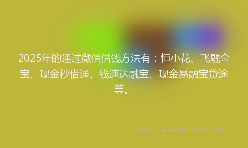 2025年的通过微信借钱方法有：恒小花、飞融金宝、现金秒借通、钱速达融宝、现金易融宝贷途等。