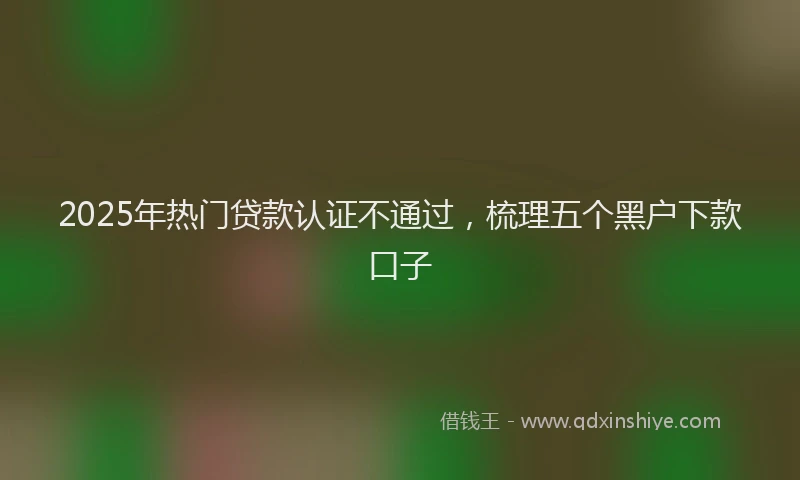2025年热门贷款认证不通过，梳理五个黑户下款口子