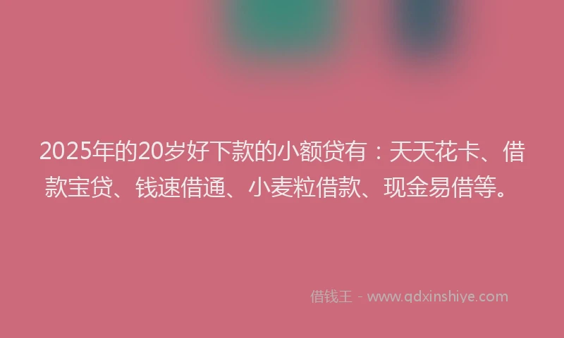 2025年的20岁好下款的小额贷有：天天花卡、借款宝贷、钱速借通、小麦粒借款、现金易借等。