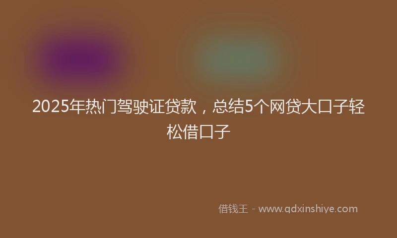 2025年热门驾驶证贷款，总结5个网贷大口子轻松借口子