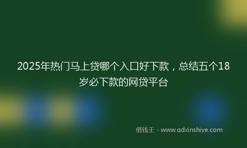2025年热门马上贷哪个入口好下款，总结五个18岁必下款的网贷平台
