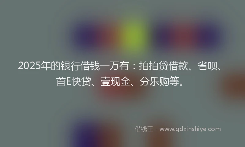 2025年的银行借钱一万有：拍拍贷借款、省呗、首E快贷、壹现金、分乐购等。