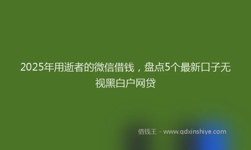 2025年用逝者的微信借钱，盘点5个最新口子无视黑白户网贷